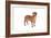 Mutt-Fabio Petroni-Framed Photographic Print