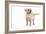 Mutt-Fabio Petroni-Framed Photographic Print