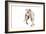 Mutt-Fabio Petroni-Framed Photographic Print