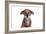 Mutt-Fabio Petroni-Framed Photographic Print