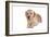 Mutt-Fabio Petroni-Framed Photographic Print