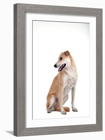 Mutt-Fabio Petroni-Framed Photographic Print