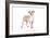 Mutt-Fabio Petroni-Framed Photographic Print