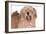 Mutt-Fabio Petroni-Framed Photographic Print