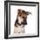 Mutt-Fabio Petroni-Framed Photographic Print