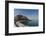 Mutthra Corniche, Muscat, Oman-Sergio Pitamitz-Framed Photographic Print