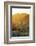 Mutthra District, Muscat, Oman, Middle East-Angelo Cavalli-Framed Photographic Print