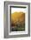 Mutthra District, Muscat, Oman, Middle East-Angelo Cavalli-Framed Photographic Print