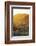 Mutthra District, Muscat, Oman, Middle East-Angelo Cavalli-Framed Photographic Print