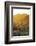 Mutthra District, Muscat, Oman, Middle East-Angelo Cavalli-Framed Photographic Print