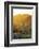 Mutthra District, Muscat, Oman, Middle East-Angelo Cavalli-Framed Photographic Print