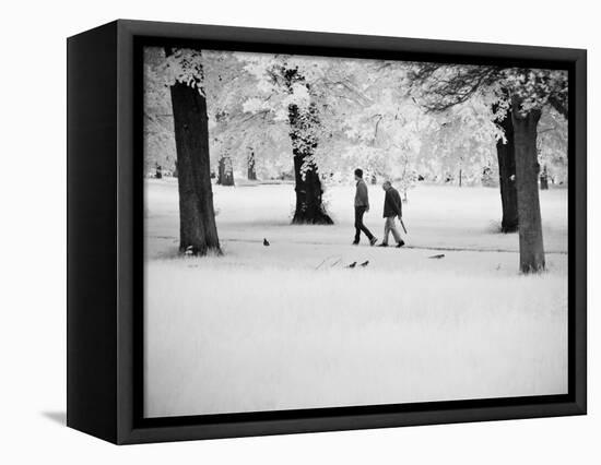 Muvee-Craig Satterlee-Framed Premier Image Canvas