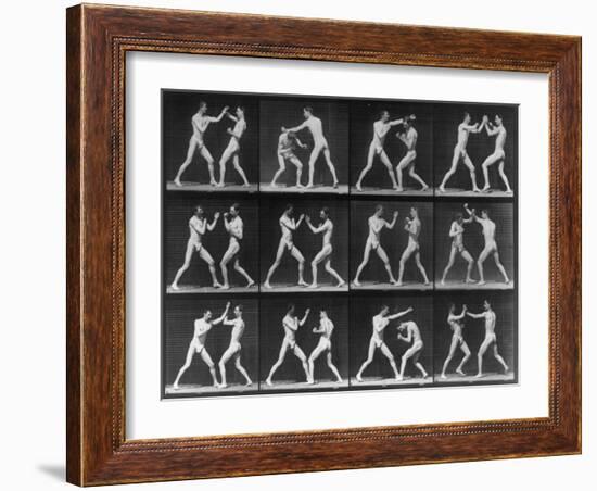 Muybridge Locomotion, Men Boxing, 1887-Science Source-Framed Giclee Print