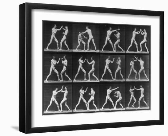 Muybridge Locomotion, Men Boxing, 1887-Science Source-Framed Giclee Print