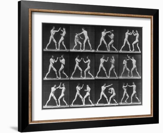 Muybridge Locomotion, Men Boxing, 1887-Science Source-Framed Giclee Print