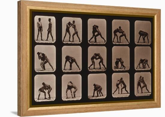 Muybridge Locomotion, Men Wrestling, 1881-Science Source-Framed Premier Image Canvas