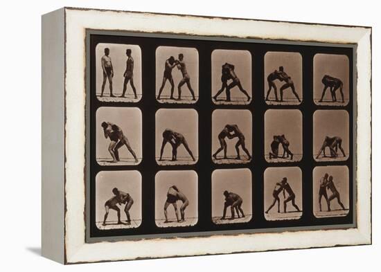 Muybridge Locomotion, Men Wrestling, 1881-Science Source-Framed Premier Image Canvas