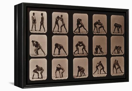 Muybridge Locomotion, Men Wrestling, 1881-Science Source-Framed Premier Image Canvas