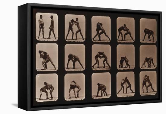 Muybridge Locomotion, Men Wrestling, 1881-Science Source-Framed Premier Image Canvas