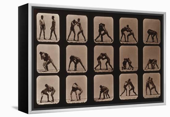 Muybridge Locomotion, Men Wrestling, 1881-Science Source-Framed Premier Image Canvas
