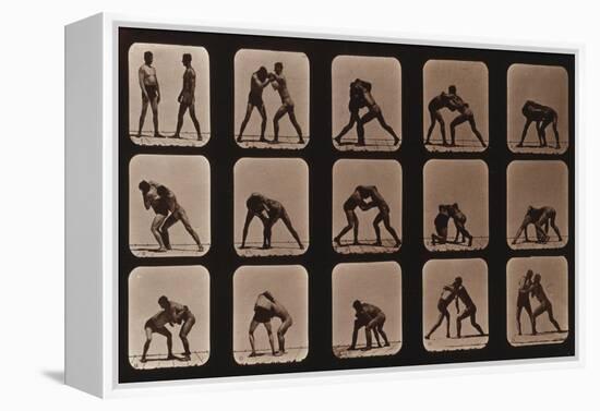 Muybridge Locomotion, Men Wrestling, 1881-Science Source-Framed Premier Image Canvas