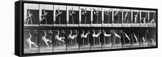 Muybridge: Photography-Eadweard Muybridge-Framed Premier Image Canvas