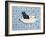 My Bathroom Cat-Ditz-Framed Giclee Print