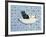 My Bathroom Cat-Ditz-Framed Giclee Print