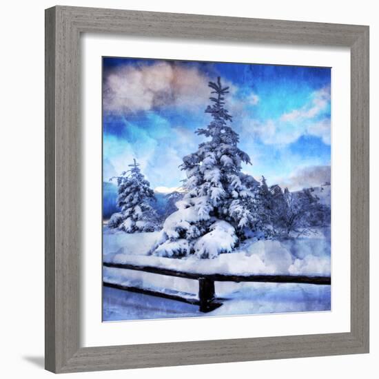 My Beautiful Fir Tree-Philippe Sainte-Laudy-Framed Photographic Print