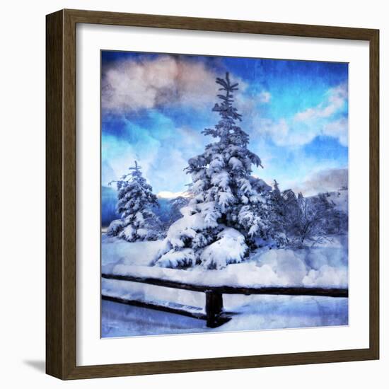 My Beautiful Fir Tree-Philippe Sainte-Laudy-Framed Photographic Print