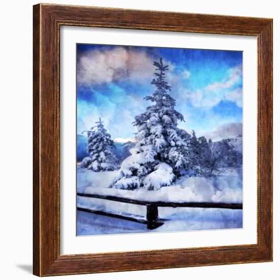 My Beautiful Fir Tree-Philippe Sainte-Laudy-Framed Photographic Print