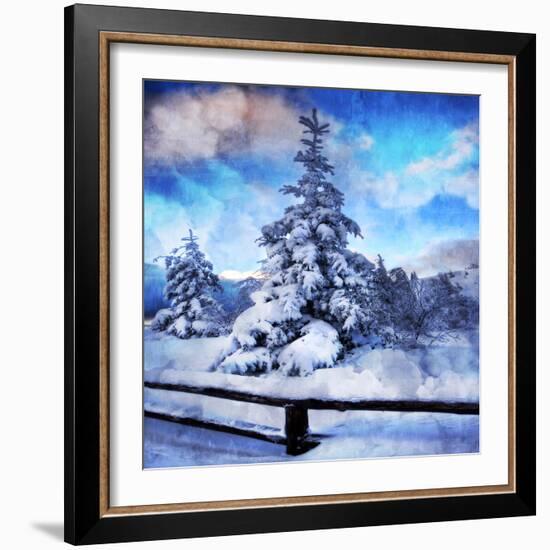 My Beautiful Fir Tree-Philippe Sainte-Laudy-Framed Photographic Print