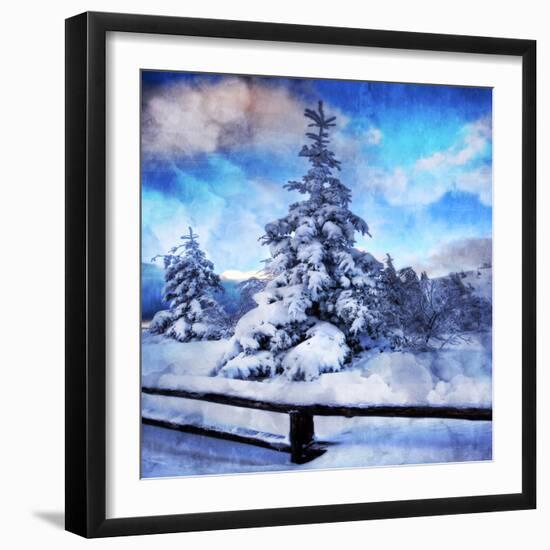 My Beautiful Fir Tree-Philippe Sainte-Laudy-Framed Photographic Print