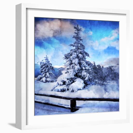 My Beautiful Fir Tree-Philippe Sainte-Laudy-Framed Photographic Print