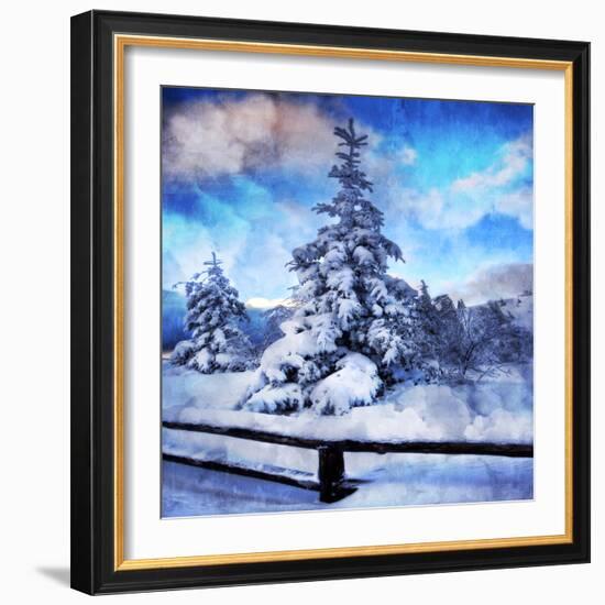 My Beautiful Fir Tree-Philippe Sainte-Laudy-Framed Photographic Print