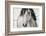 My Beautiful Mane-Lisa Dearing-Framed Photographic Print