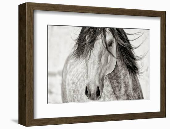 My Beautiful Mane-Lisa Dearing-Framed Photographic Print