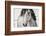 My Beautiful Mane-Lisa Dearing-Framed Photographic Print