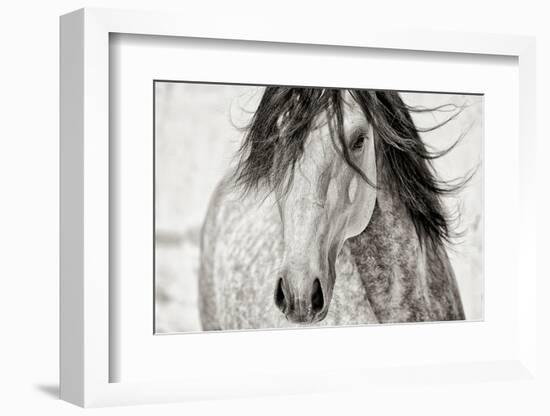 My Beautiful Mane-Lisa Dearing-Framed Photographic Print