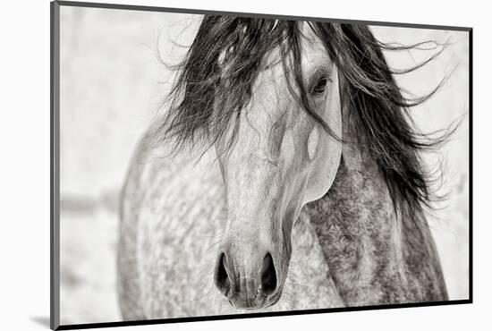 My Beautiful Mane-Lisa Dearing-Mounted Photographic Print