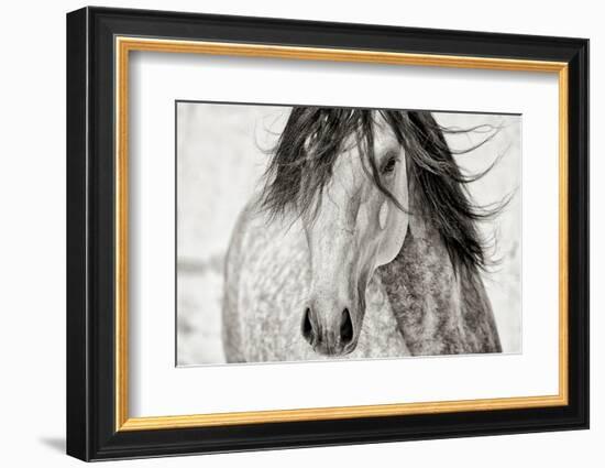 My Beautiful Mane-Lisa Dearing-Framed Photographic Print