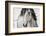 My Beautiful Mane-Lisa Dearing-Framed Photographic Print