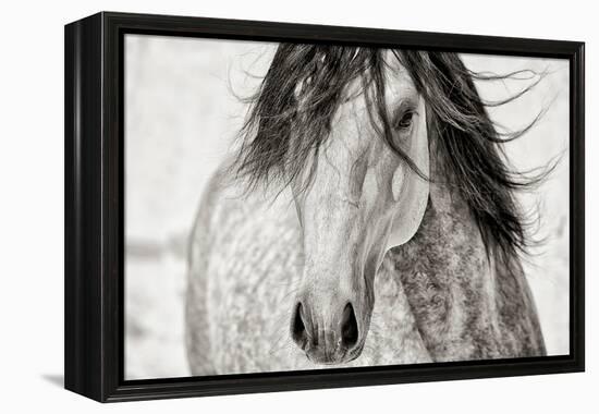 My Beautiful Mane-Lisa Dearing-Framed Premier Image Canvas