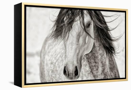 My Beautiful Mane-Lisa Dearing-Framed Premier Image Canvas