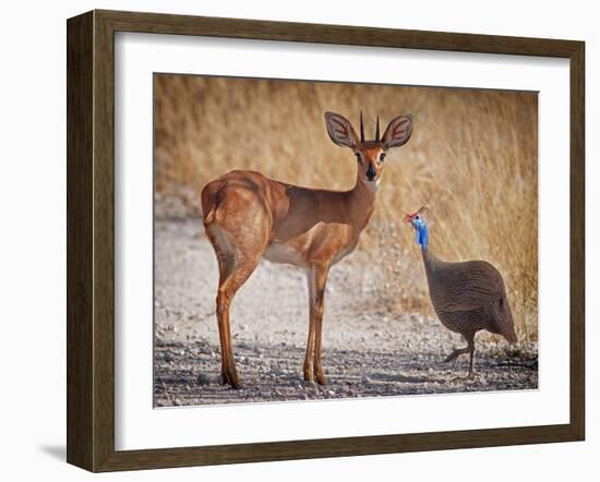 My best friend-Mathilde Guillemot-Framed Photographic Print