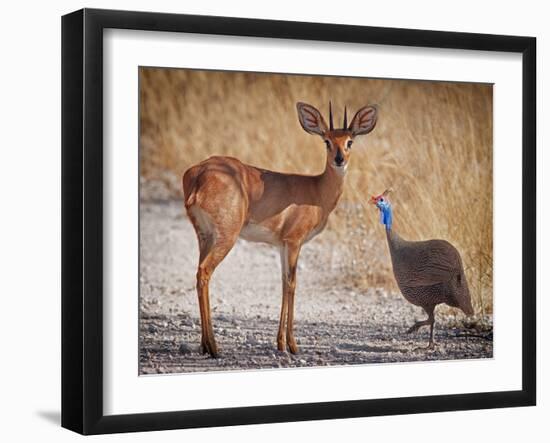 My best friend-Mathilde Guillemot-Framed Photographic Print