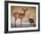 My best friend-Mathilde Guillemot-Framed Photographic Print