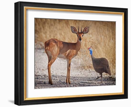 My best friend-Mathilde Guillemot-Framed Photographic Print