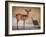 My best friend-Mathilde Guillemot-Framed Photographic Print