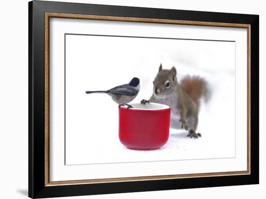 My Buddy Berry-Andre Villeneuve-Framed Photographic Print